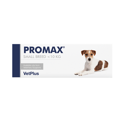 PROMAX® Small - 9 ml Injektor - MyStetho Veterinary