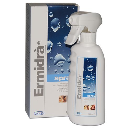 Ermidrà Spray 300 ml flacon vap. Ufamed