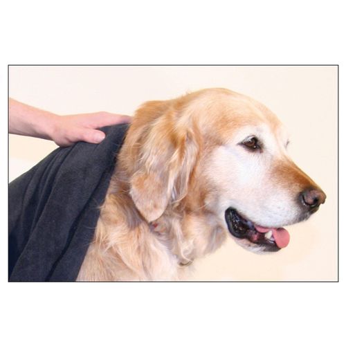 Swisspet chiffon en microfibres, Taille L: 71x142cm, gris foncé - MyStetho Veterinary