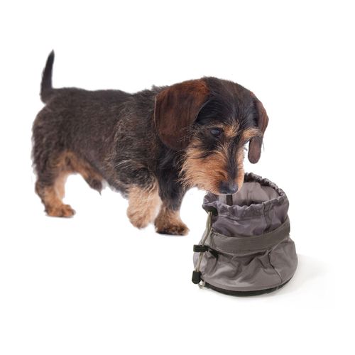 Swisspet Ecuelle de voyage en toile, grise - MyStetho Veterinary