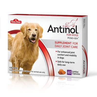 ANTINOL FOR DOGS, 60 gélules molles - MyStetho Veterinary