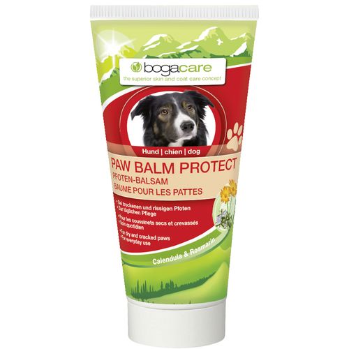 Calibra Veterinary Recovery 100g - MyStetho Veterinary