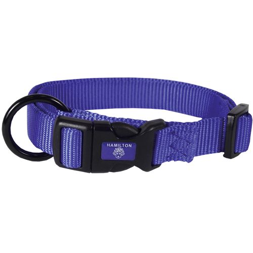 Collier pour chiens bleu 2.5 x 45 - 65 cm - MyStetho Veterinary