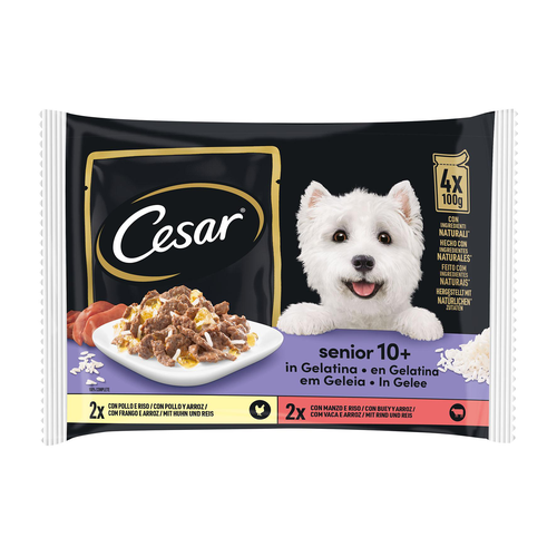 Cesar Pouch Senior 10+ - MyStetho Veterinary