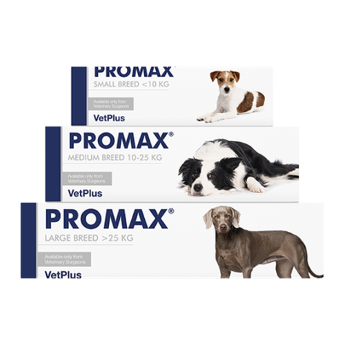 PROMAX® Small - 9 ml Injektor - MyStetho Veterinary