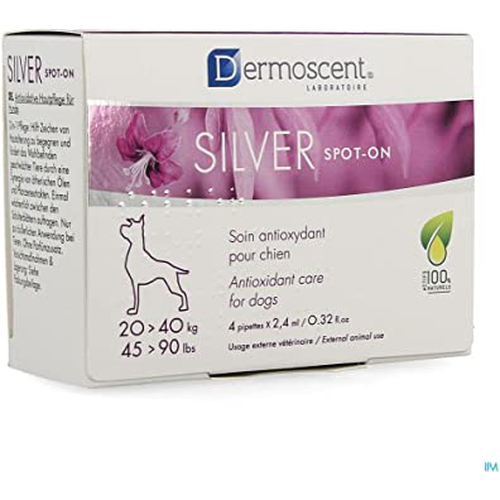 SILVER spot-on dog (20-40kg) - 2.4 ml (1 pipette) - MyStetho Veterinary