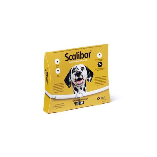 Scalibor® Protectorband 65cm - MyStetho Veterinary