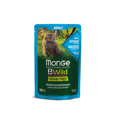 Monge Bwild GF Anchois adultes - MyStetho Veterinary