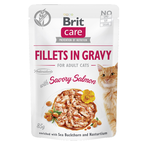 Brit Care Cat Brit Care Cat - Filets en sauce - Saumon 85g - MyStetho Veterinary