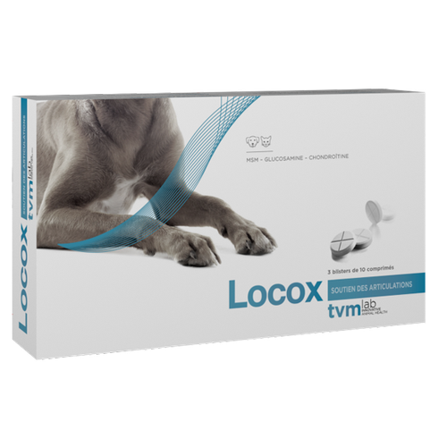 TVM Locox (1 comprimé) - MyStetho Veterinary