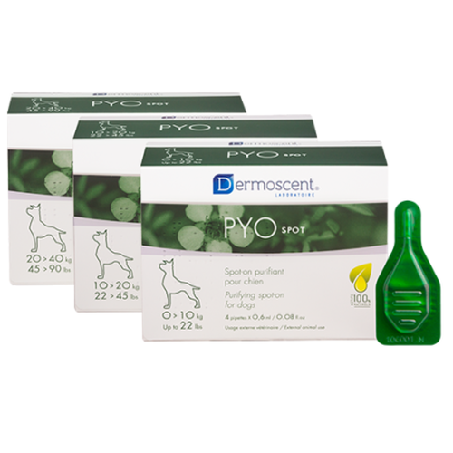 PYOspot® dog (10-20kg) - 1.2 ml (1 pipette) - MyStetho Veterinary