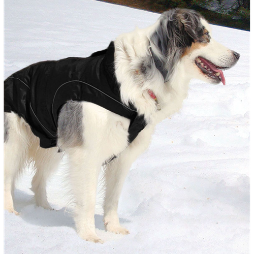 swisspet climaro Softshelljacke 40cm, sw wind- und wasserdicht, waschbar bei 30° - MyStetho Veterinary