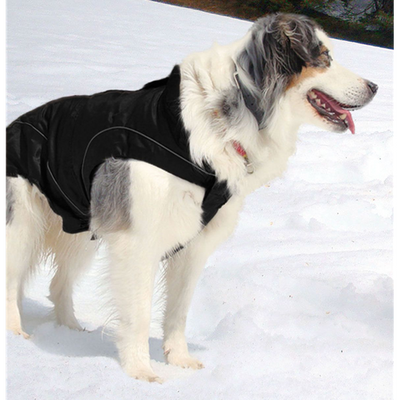 swisspet climaro Softshelljacke 40cm, sw wind- und wasserdicht, waschbar bei 30° - MyStetho Veterinary