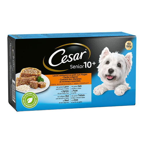 Cesar Vital 10+ Senior en - MyStetho Veterinary