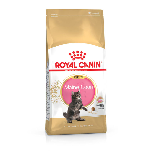 Royal Canin Maine Coon Kitten 0.4 kg - MyStetho Veterinary