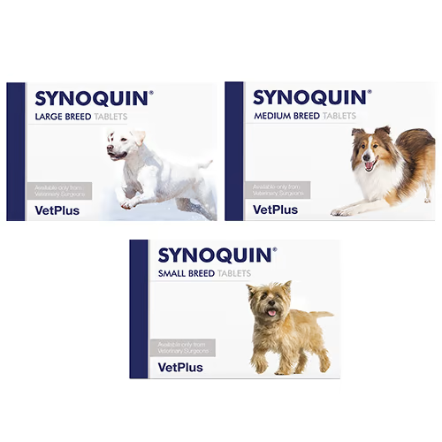 SYNOQUIN© Medium (10-25 kg) (30 comprimés) - MyStetho Veterinary