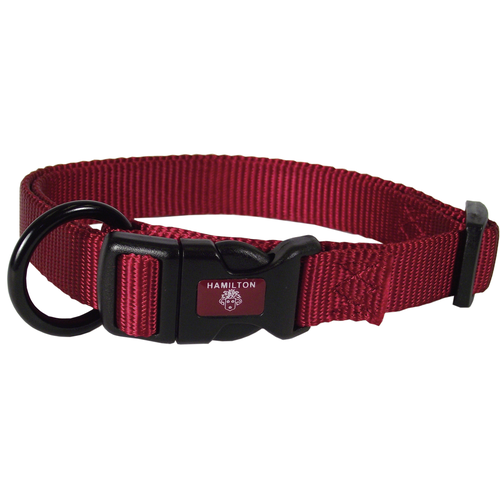 Collier pour chiens rouge 1 x 23-30 cm - MyStetho Veterinary