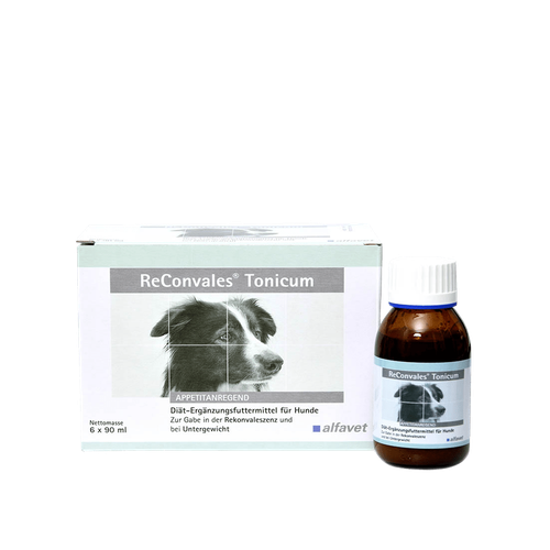 ReConvales Tonicum chien 90 ml (1 flacon) - MyStetho Veterinary