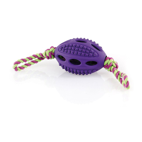 Swisspet Go Dog Football, 32cm, violet - MyStetho Veterinary