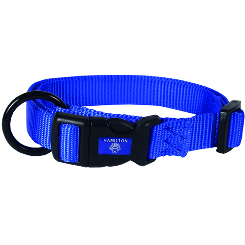 Collier pour chiens bleu 2 x 40 - 55 cm - MyStetho Veterinary