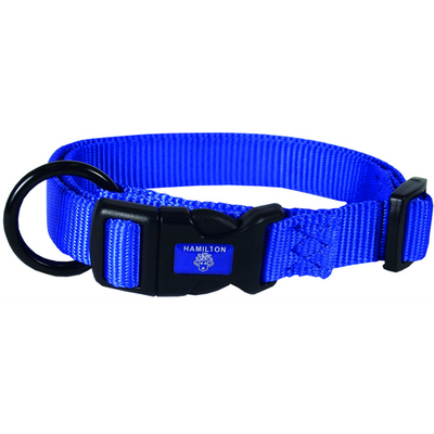 Collier pour chiens bleu 2 x 40 - 55 cm - MyStetho Veterinary