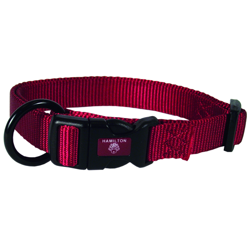 Collier pour chiens rouge 1.5 x 30-45 cm - MyStetho Veterinary