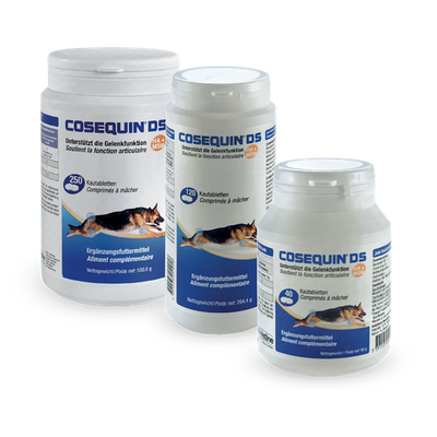Cosequin DS HA+MSM (40  comprimé) - MyStetho Veterinary