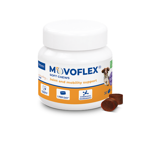 Movoflex M (15-35 kg) (1 bouchée) - MyStetho Veterinary