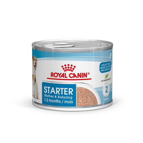 Royal Canin Starter Mousse  0,195 kg - MyStetho Veterinary