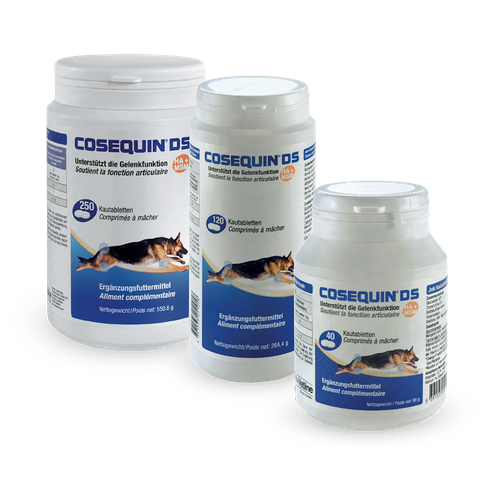 Cosequin DS HA+MSM (1  comprimé) - MyStetho Veterinary