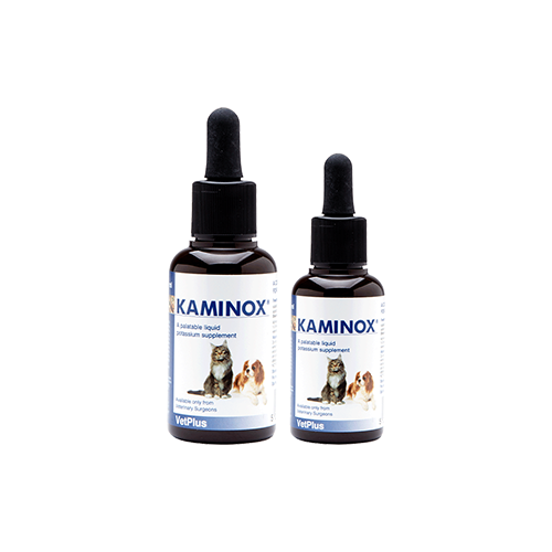 KAMINOX - 60 ml - MyStetho Veterinary