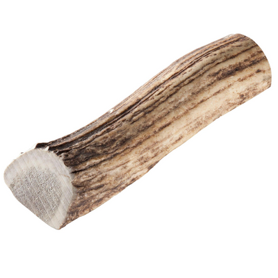 Chewies polonais bois de cerf rouge L - MyStetho Veterinary