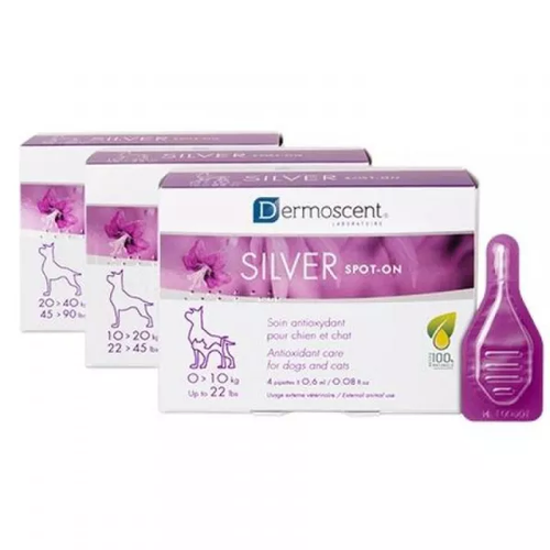 SILVER spot-on cat & dog (0-10kg) - 0.6 ml (1 pipette) - MyStetho Veterinary