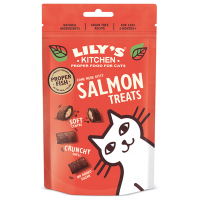 Lily's Kitchen Salmon Treats  60g - MyStetho Veterinary