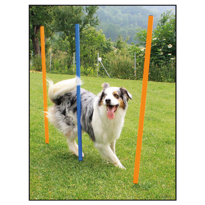 Swisspet set de slalom d‘Agility - MyStetho Veterinary