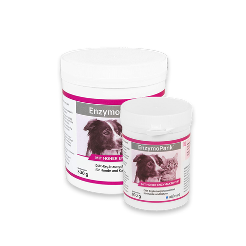 EnzymoPank pour chiens et chats 500g - MyStetho Veterinary