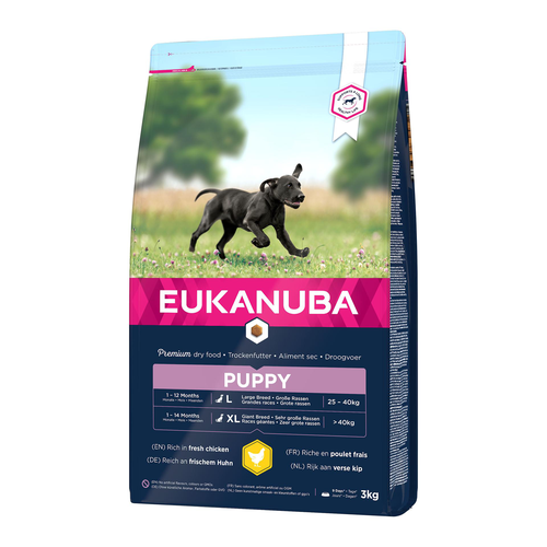 Eukanuba Puppy Large - MyStetho Veterinary