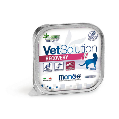 Monge Cat Recovery, 100g - MyStetho Veterinary