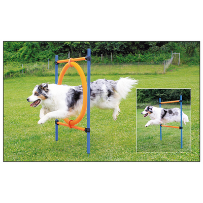 Swisspet anneau de saut d‘Agility - MyStetho Veterinary