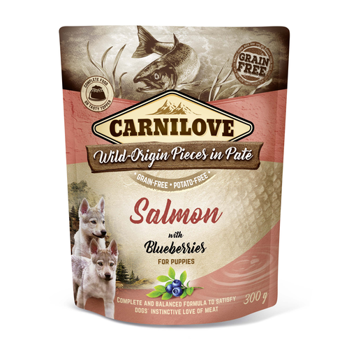 Carnilove Dog Adulte Pouch Paté - Saumon aux myrtilles pour chiots 300g - MyStetho Veterinary