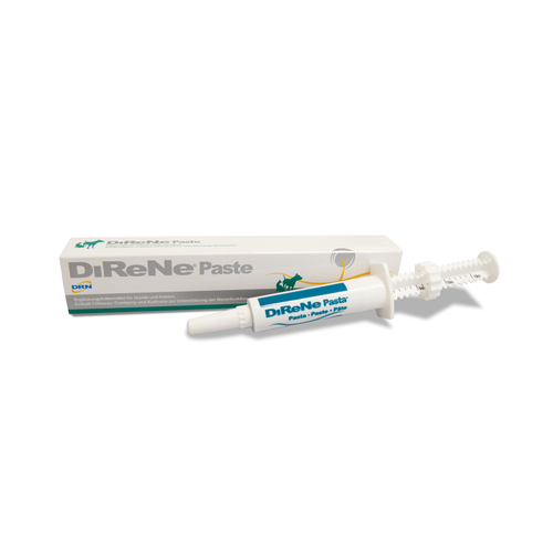 DiReNe Paste 1 injecteur à 15 ml - MyStetho Veterinary