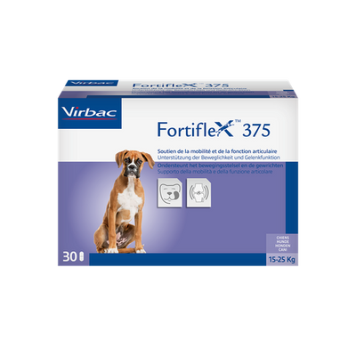 Fortiflex 375mg 15-25 kg (1 comprimé) - MyStetho Veterinary