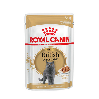 Royal Canin British Shorthair Adult In Soße 85 g - MyStetho Veterinary
