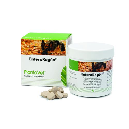 EnteroRegén boîte à 240 compr. Ufamed 