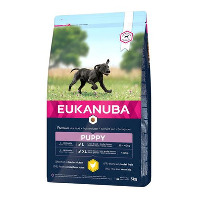 Eukanuba Puppy Large - MyStetho Veterinary
