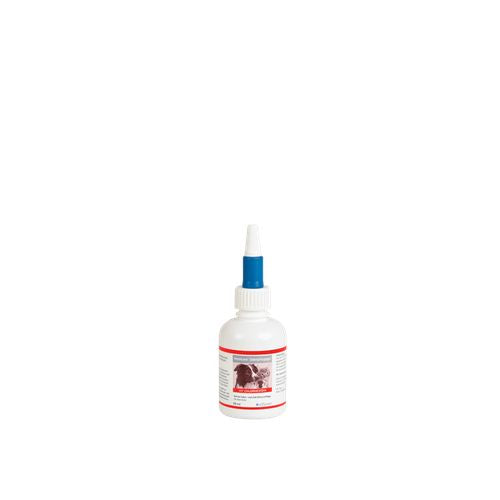 HexoCare Solution de soins dentaires pour chats&chiens 100ml - MyStetho Veterinary