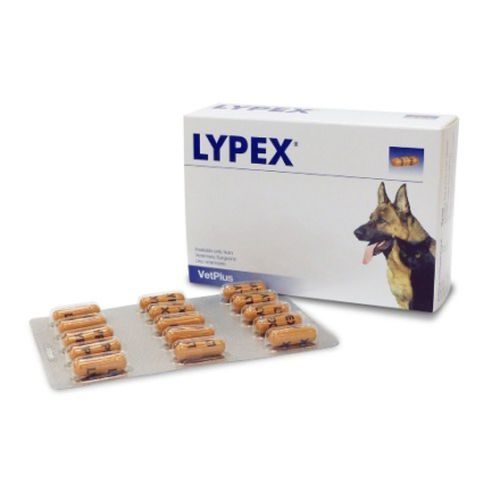 LYPEX© (15 comprimés) - MyStetho Veterinary