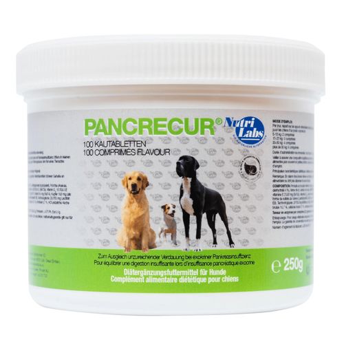 Nutrilabs Pancrecur (1 comprimé) Streuli 