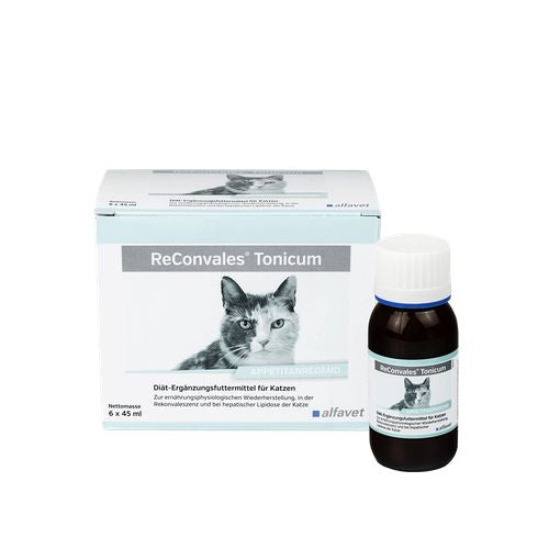 ReConvales Tonicum chat 45ml (1 flacon) - MyStetho Veterinary