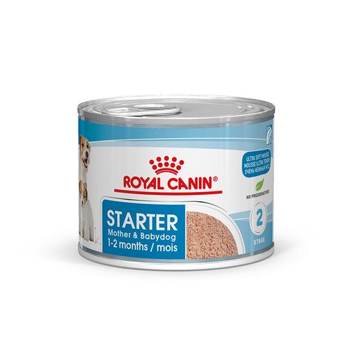 Royal Canin Starter Mousse 0,195 kg - MyStetho Veterinary